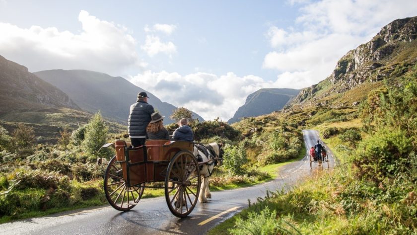 horse-and-cart