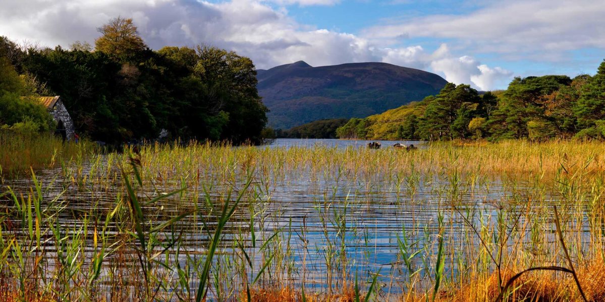 Things To See & Do in Killarney | Luxury Hotel Killarney