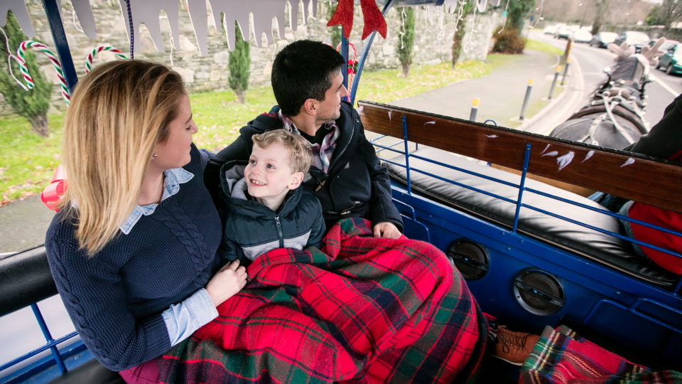 horse-carriage-ride-in-killarney-national-park