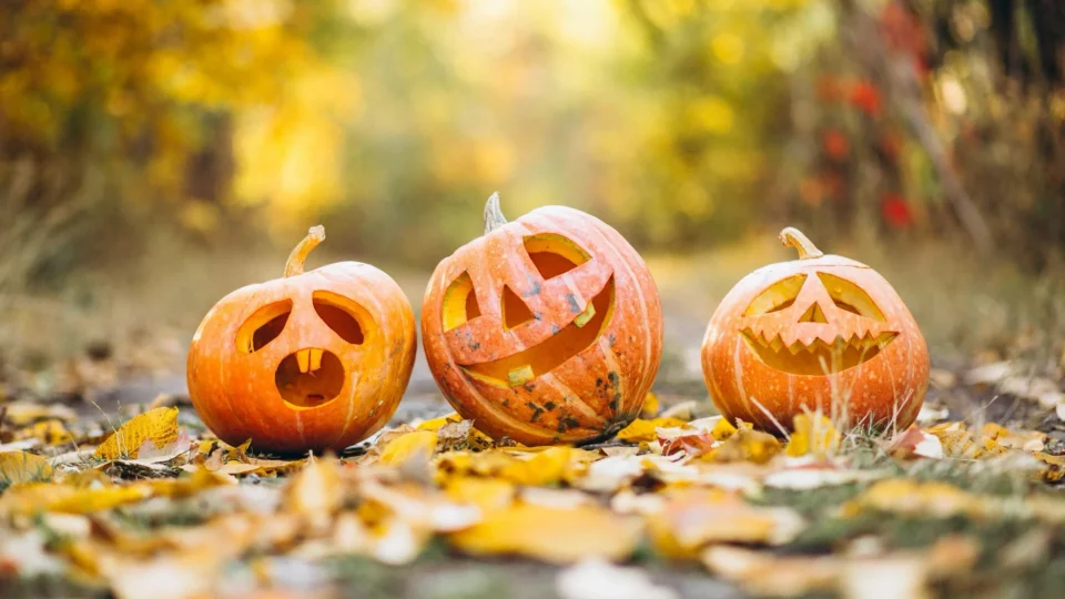 Festive carved pumpkins on a leaf-strewn path, creating a warm autumnal ambiance perfect for a cosy hotel getaway.