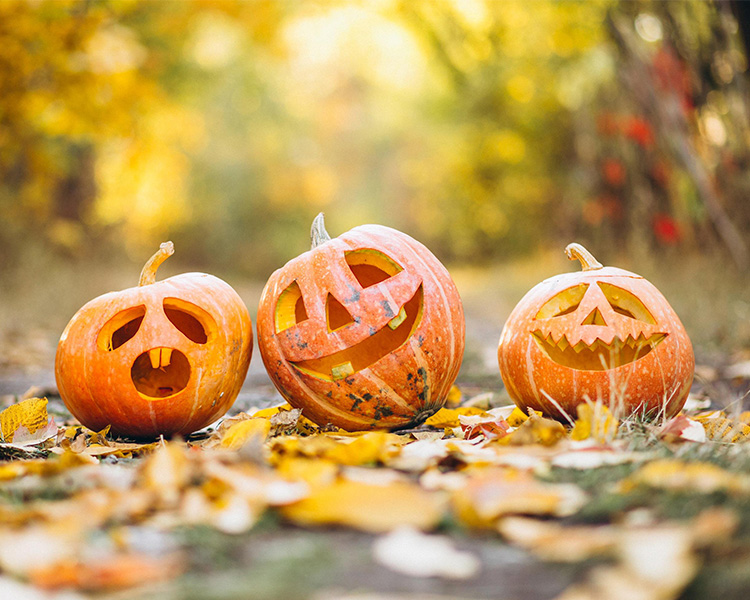 Three carved pumpkins on a leaf-strewn path, surrounded by vibrant autumn foliage, evoking a cosy, festive atmosphere.