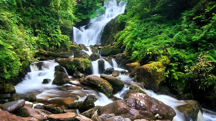 Lush green forest surrounds a cascading waterfall over rocks, offering a scenic, tranquil experience for hotel guests.