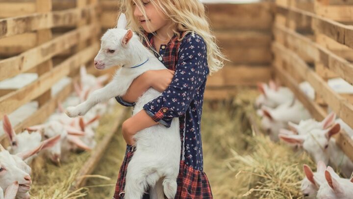 adorable-kid-hugging-goat