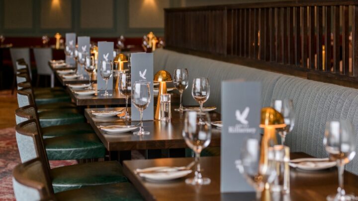 sloeberry-tree-content15