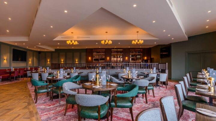 sloeberry-tree-content9