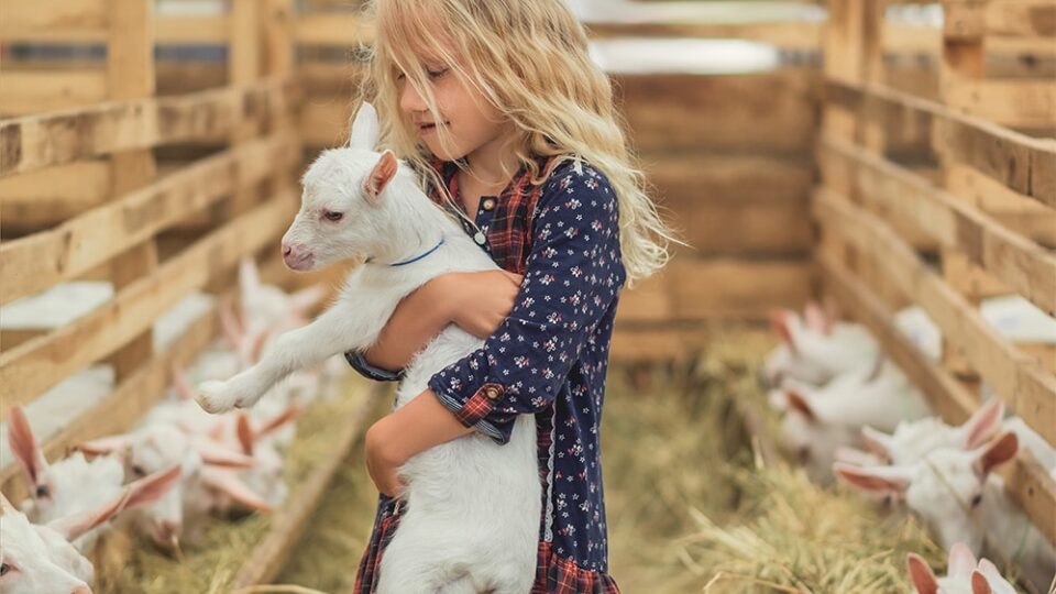 adorable-kid-hugging-goat
