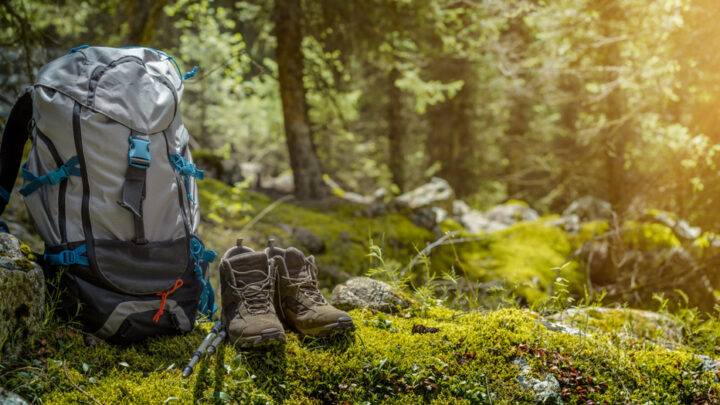 A hiking backpack, boots, and trekking poles rest on mossy ground in a sunlit forest clearing—gear up for adventure with our Spring Offer.