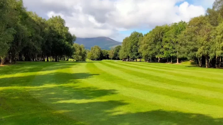 ross-golf-club _1000px-min