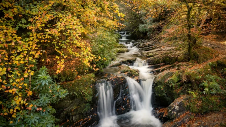 Scenic autumn waterfall surrounded by vibrant, golden leaves and lush greenery; a peaceful retreat near the hotel.