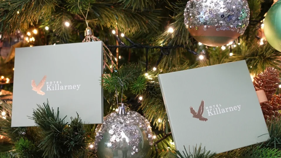 Green gift boxes and silver ornaments hang on a decorated Christmas tree with warm white lights. The boxes display