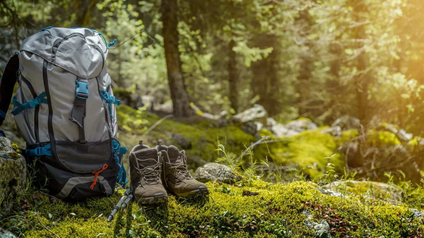 A large gray and blue backpack, hiking boots, and trekking poles are placed on mossy ground in a sunlit forest clearing.