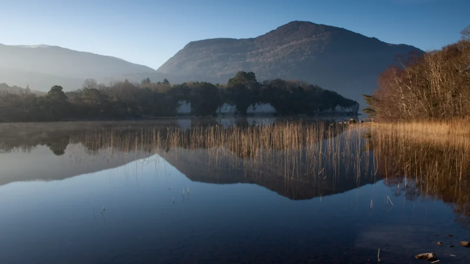 A calm lake reflects nearby reeds, trees, and distant hills under a clear blue sky.