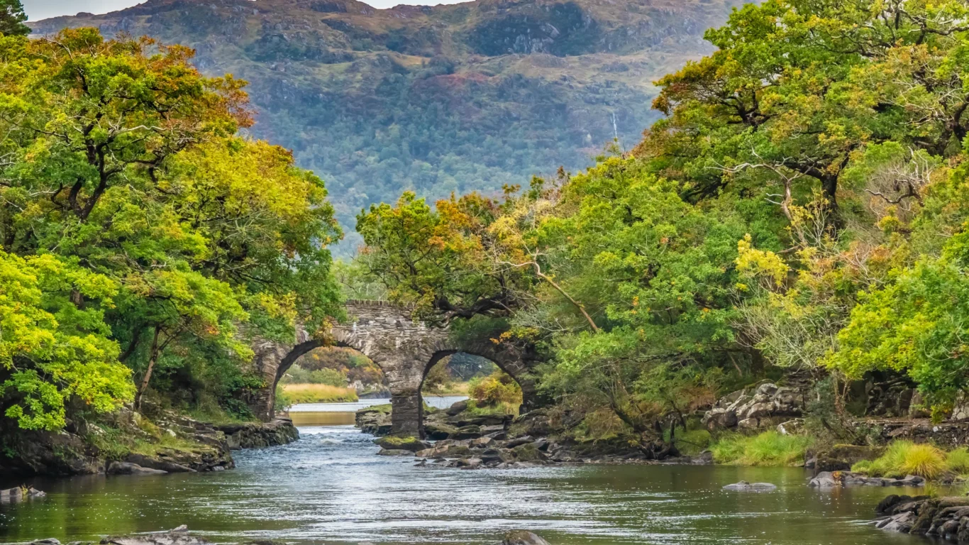 Scenic view of lush green trees and a charming stone bridge spanning a tranquil river, with mountain backdrop.